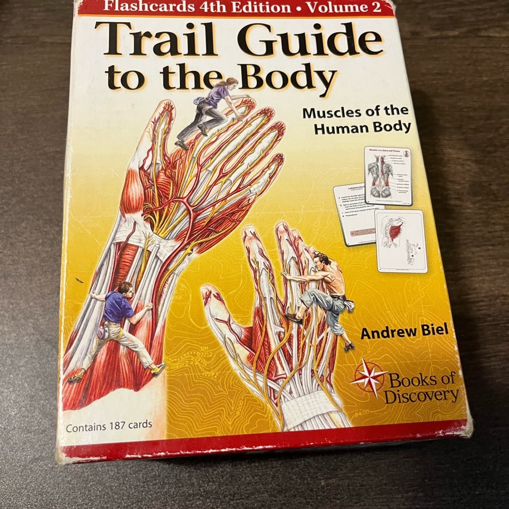 Anatomy Cards